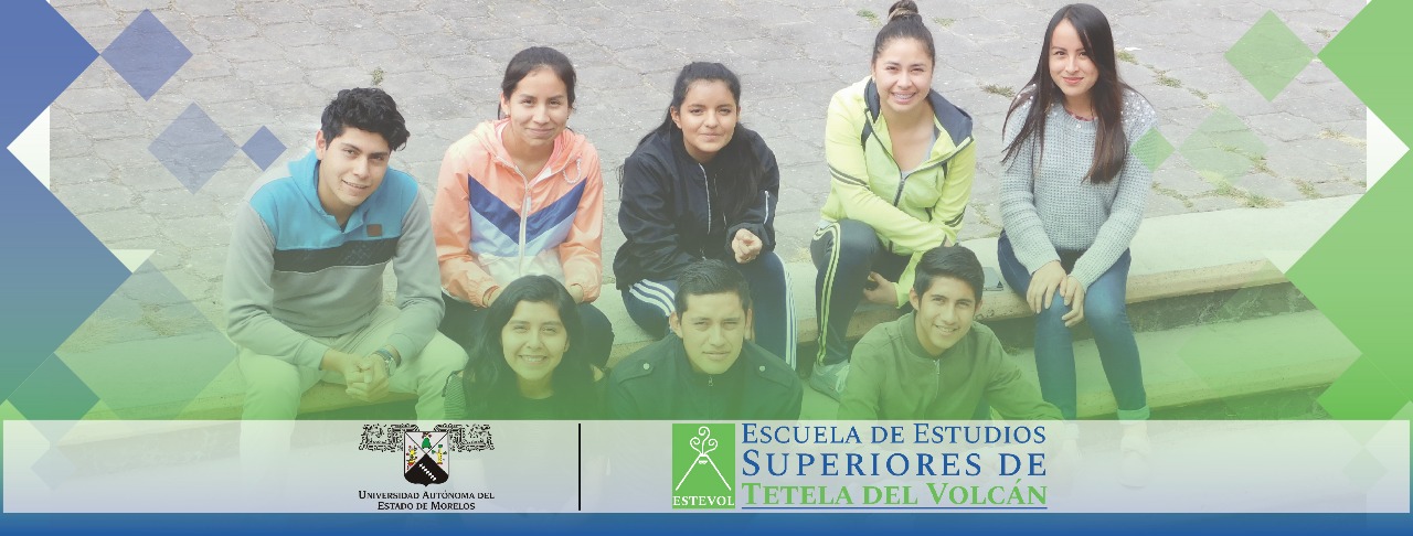 licenciatura en trabajo social