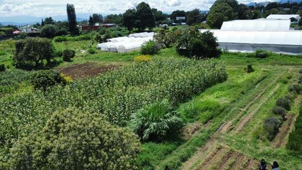 Doctorado en ciencias gropecuarias y desarrollo rural