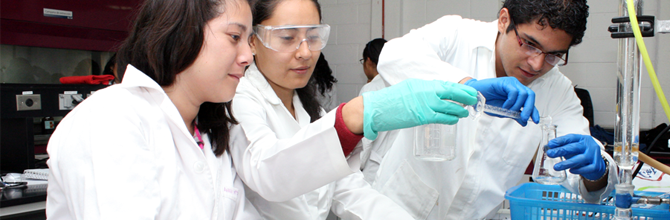 doctorado en ciencias naturales