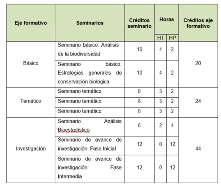 Síntesis del Plan de Estudios