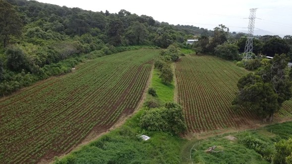 maestría en ciencias gropecuarias y desarrollo rural