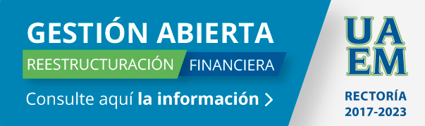 Reestructuración Financiera