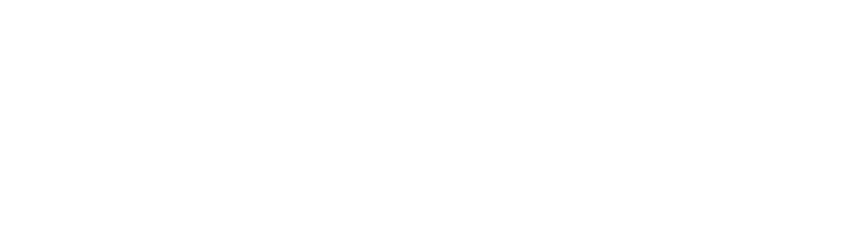 SEAES UAEM