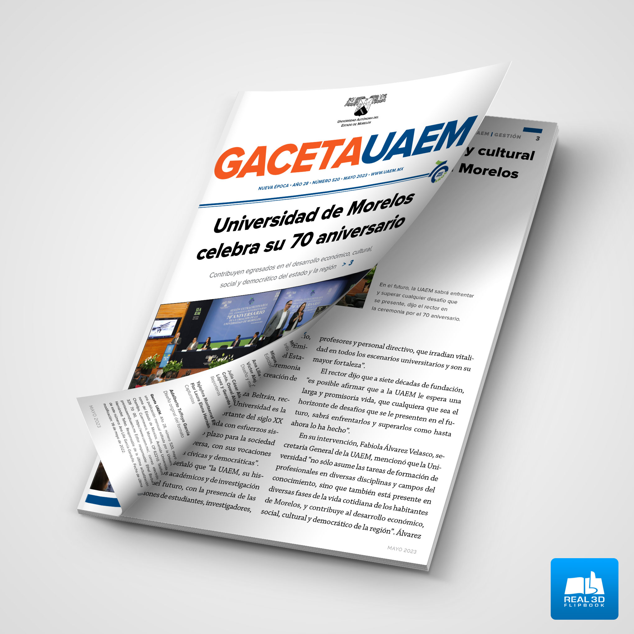 Gaceta No. 520