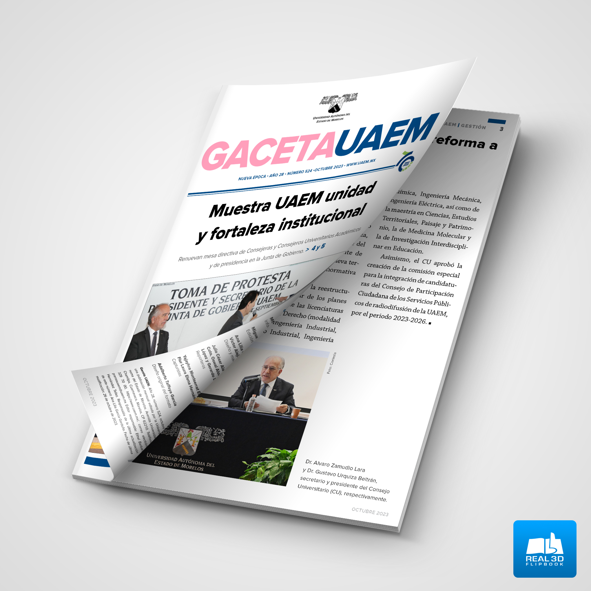 Gaceta No. 524