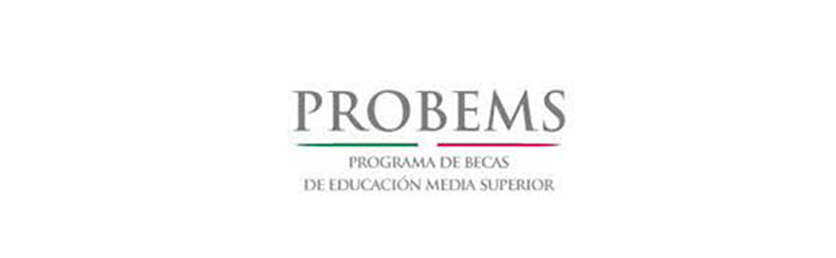logo probems