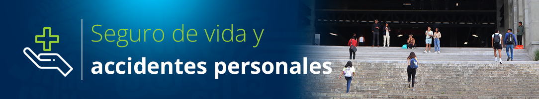 Seguro de Vida y Accidentes Personales