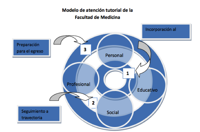 fac medicina tutorias