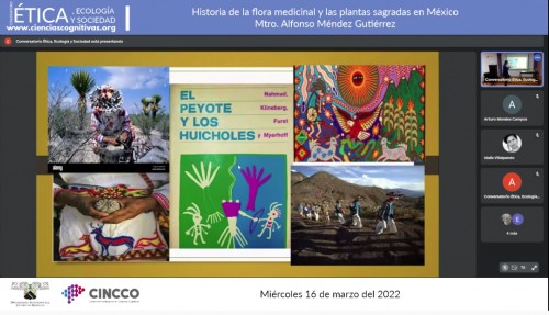 Propone investigador que sector salud incluya uso de cannabis medicinal
