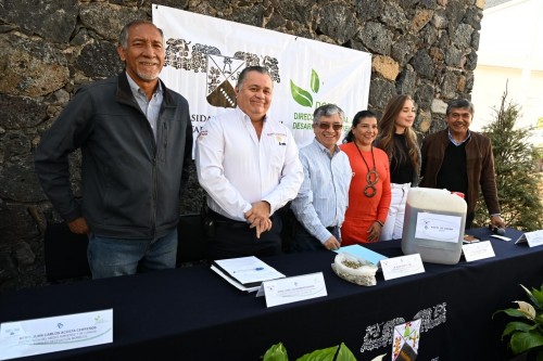 Inicia en la UAEM campaña de acopio de árboles de Navidad