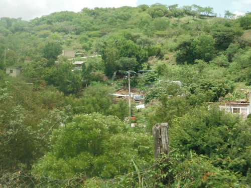 Revela investigador de la UAEM beneficios de la reforestación en la Rebiosh