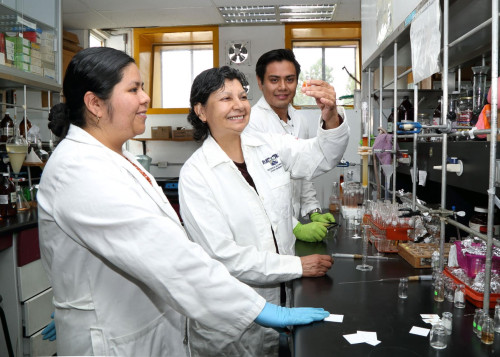 Investigan en la UAEM las propiedades del copal para el tratamiento del cáncer