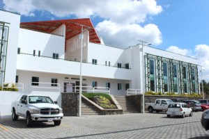 Advierten pérdida de flora nativa por causa de especies ornamentales
