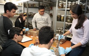 Con apoyo de National Geographic realiza CIB proyecto sobre invasión de especies