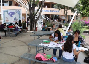 Ostenta el ICE la totalidad de sus programas académicos con calidad