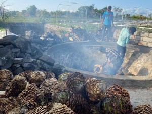 Destaca egresada de la UAEM calidad en producción de mezcal en Morelos