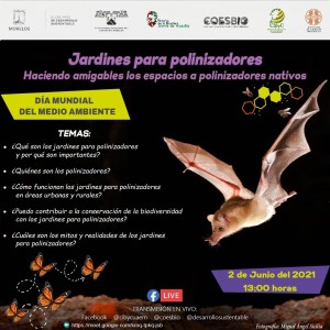 Jardines de Polinizadores
