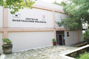 Lanza CIB convocatoria para muestra de cine y fotografía científica
