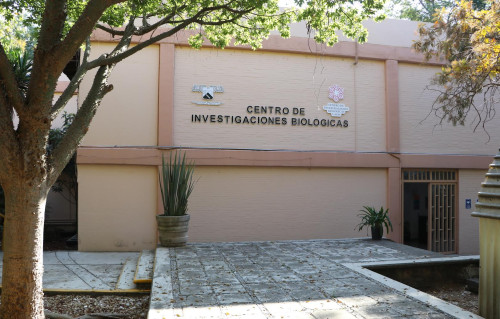 Anuncian foro para conocer situación ambiental del poniente de Morelos