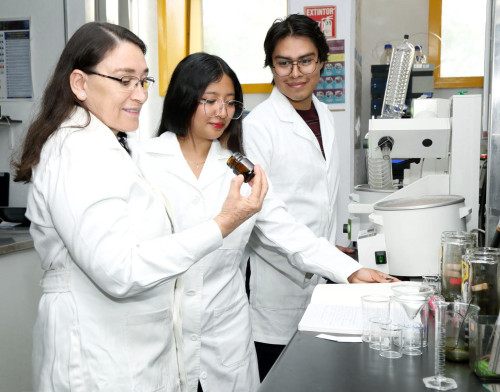 Investigan en la UAEM raíz de planta para tratamiento del dolor dental