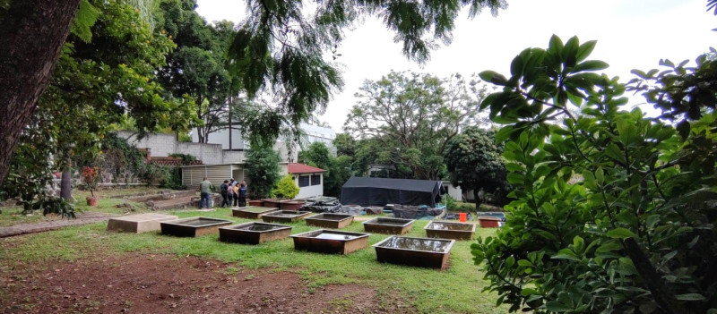 Ofrece UAEM curso gratuito de reproducción de bagre