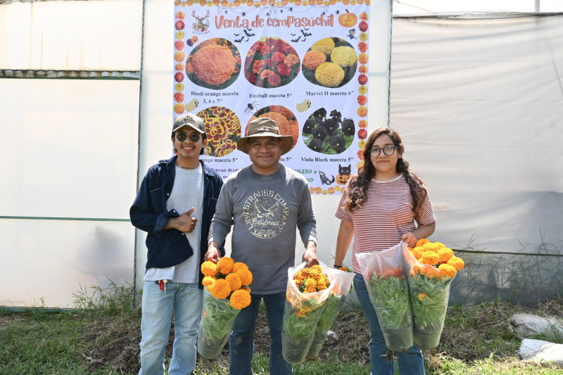 Estudiantes comercializan flor de cempasúchil