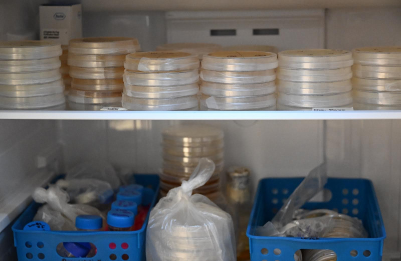 Impulsa el CEIB formación en análisis genómico y metagenómico