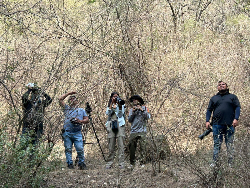 Conmemoran investigadores de la UAEM el Día Internacional de las Aves