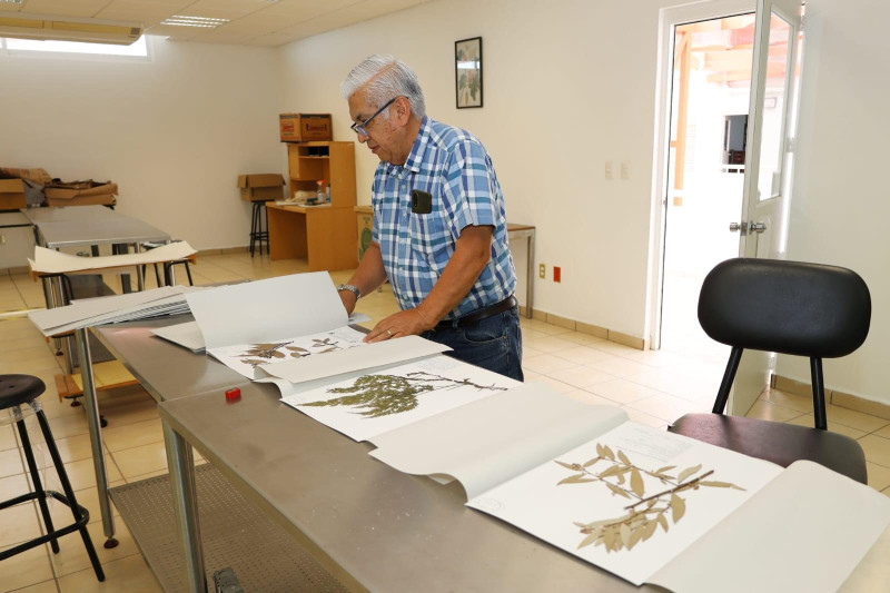 Apoya colección botánica del CIByC estudios científicos sobre diversidad vegetal