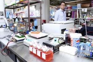 Sinergia entre investigadores y estudiantes, principal desafío del IICBA