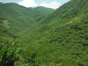 Conmemorará UAEM 20 años del decreto de la Reserva de la Biósfera Sierra de Huautla