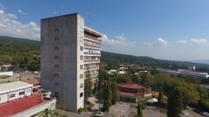 Destaca investigadora importancia de atender salud mental de la sociedad