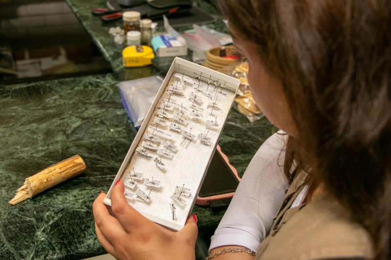 Aporta UAEM nuevas especies al conocimiento científico