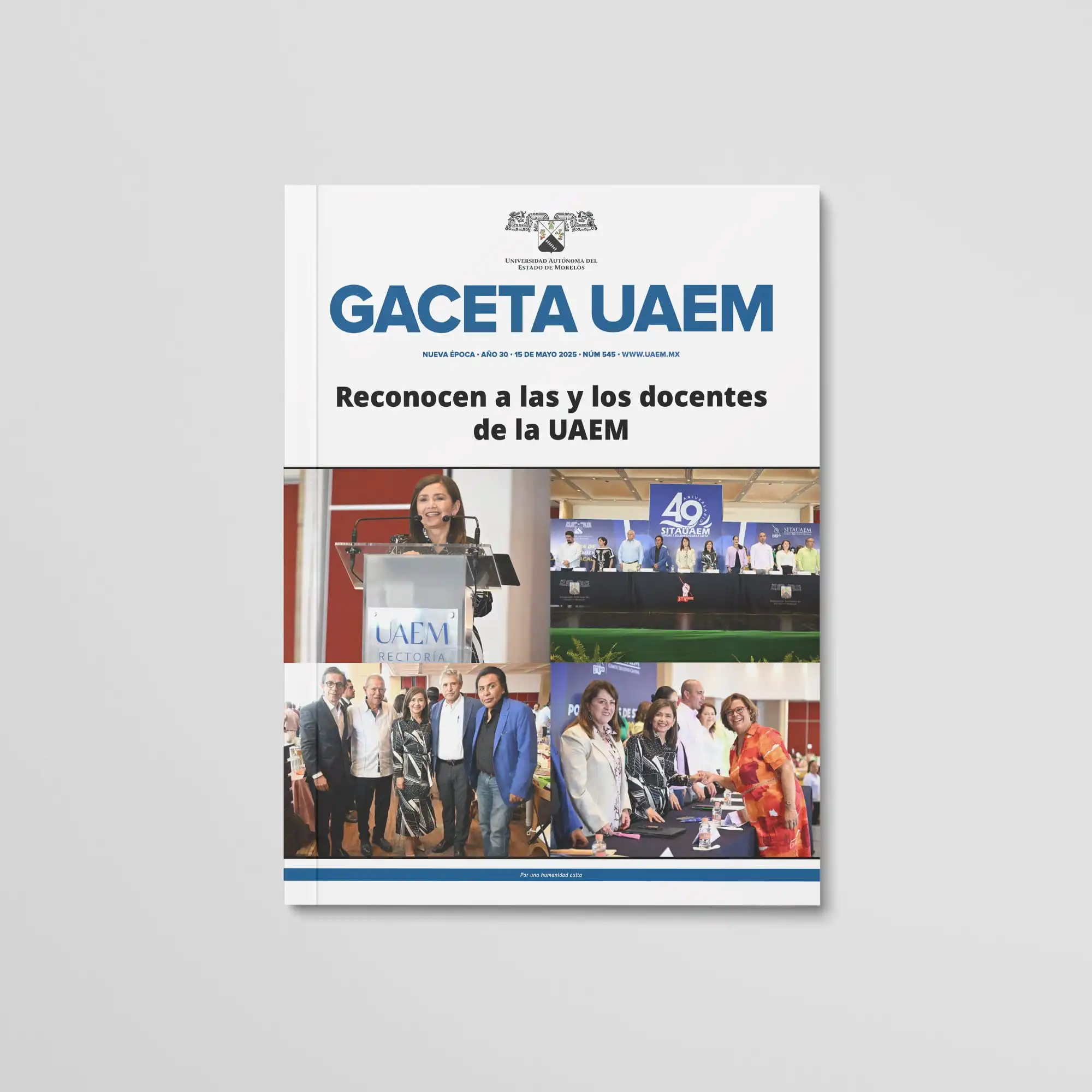 Gaceta No. 542