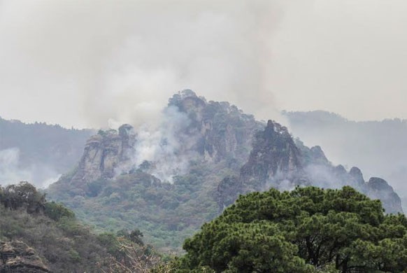 Participarán investigadores de la UAEM en la restauración del bosque de Tepoztlán