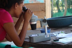 Trabaja estudiante de la UAEM en investigación sobre nidos de tortuga