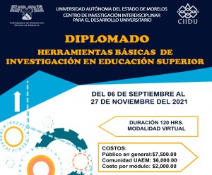 Diplomado "Herramientas básicas de investigación en educación superior"