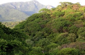 Recibe Centro de Investigación en Biodiversidad y Conservación recursos para desarrollo de proyectos