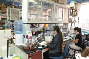 CEIB imparte curso multidisciplinario sobre biología de sistemas