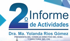 2o Informe de Actividades,  IICBA