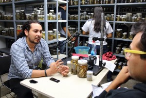 Cuenta colección de peces del CIB UAEM con más de 3 mil ejemplares