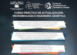CURSO PRÁCTICO DE ACTUALIZACIÓN: MICROBIOLOGÍA E INGENIERÍA GENÉTICA