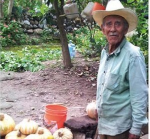 INTERCAMBIO DE EXPERIENCIAS AGRÍCOLAS EN MÉXICO