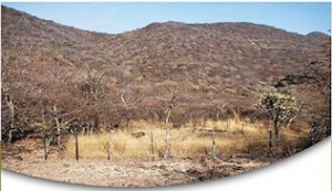 Presentación del libro: " La restauración de ecosistemas terrestres en México"