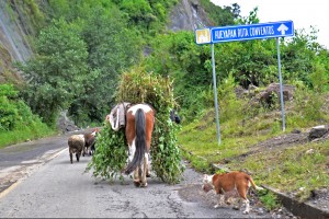 Urgente acelerar la recuperación de la Ruta de los Conventos