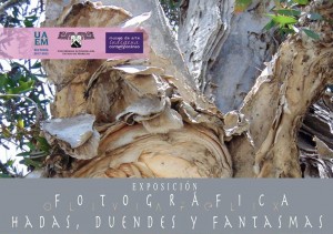 Exposición Fotográfica "Hadas, Duendes y Fantasmas"