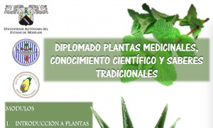 Diplomado Plantas Medicinales, Conocimiento Científico y Saberes Tradicionales