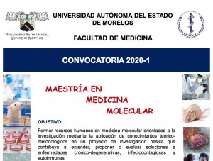 Maestría en Medicina Molecular (Convocatoria 2020-1)