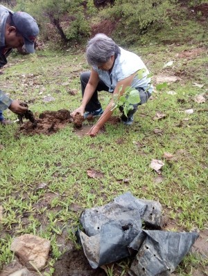 Colaboran CIByC y Ayuntamiento de Puente de Ixtla en reforestación