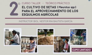 Curso - Taller: El Cultivo de Setas Para el Aprovechamiento de los Esquilmos Agrícolas